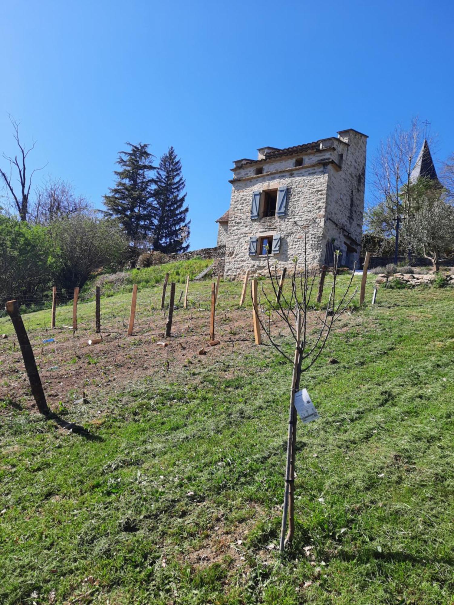 Le Pigeonnier De Felines Villa Caylus Bilik gambar